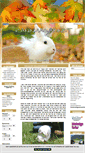 Mobile Screenshot of kaninmagazinet.se